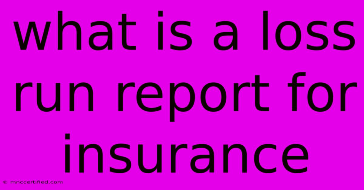 What Is A Loss Run Report For Insurance