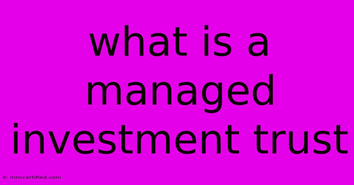 What Is A Managed Investment Trust