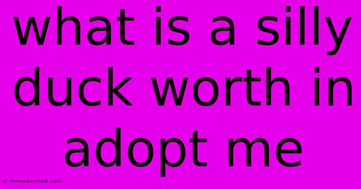 What Is A Silly Duck Worth In Adopt Me