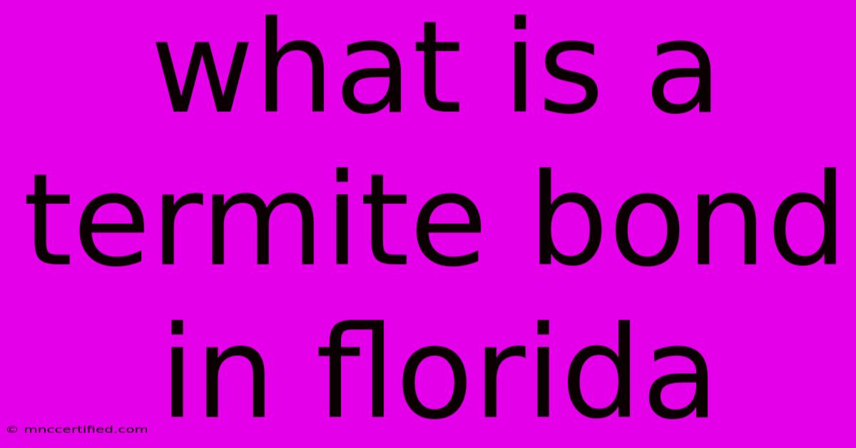 What Is A Termite Bond In Florida