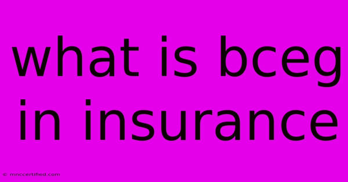 What Is Bceg In Insurance