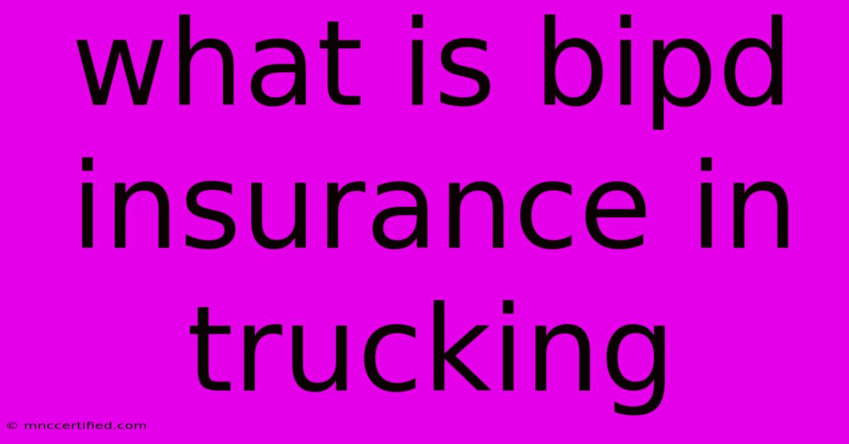 What Is Bipd Insurance In Trucking