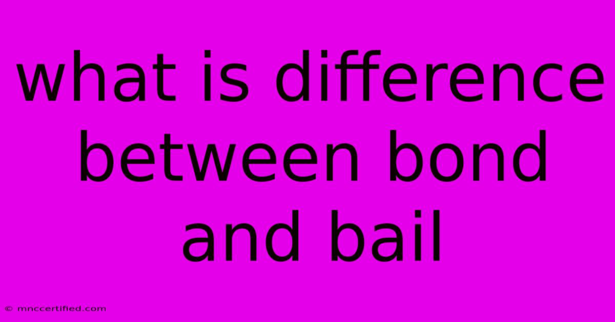 What Is Difference Between Bond And Bail