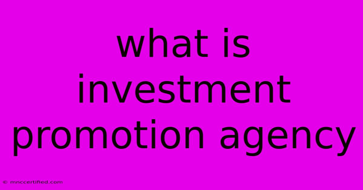 What Is Investment Promotion Agency