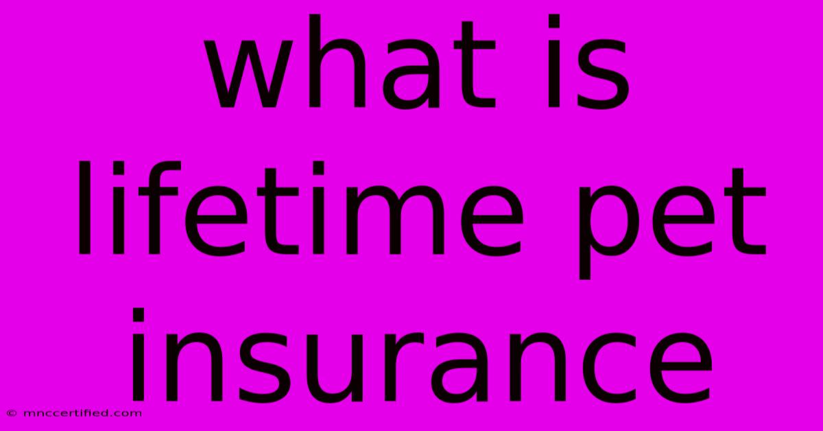 What Is Lifetime Pet Insurance