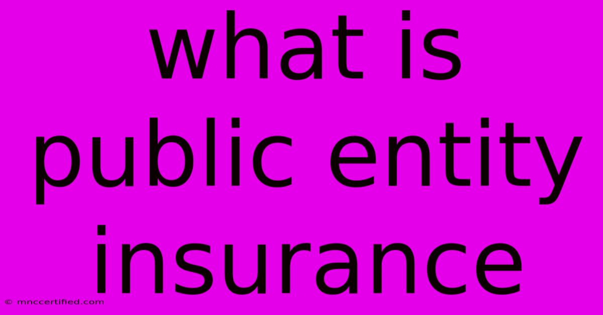 What Is Public Entity Insurance