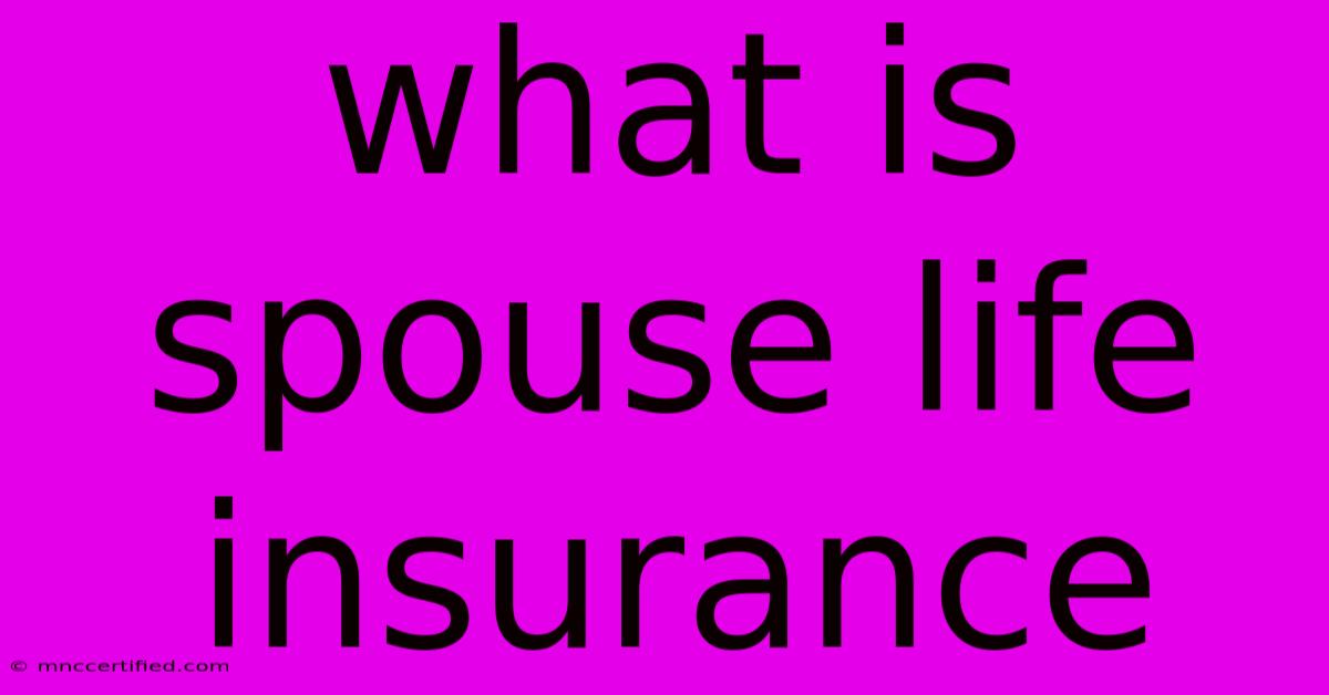 What Is Spouse Life Insurance