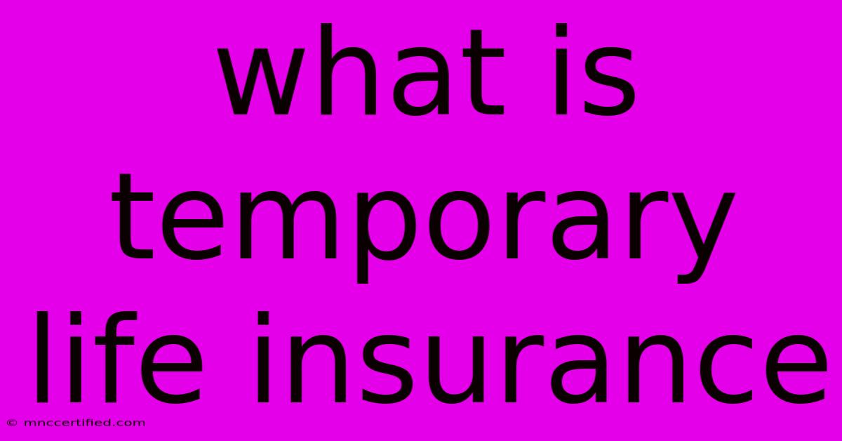 What Is Temporary Life Insurance