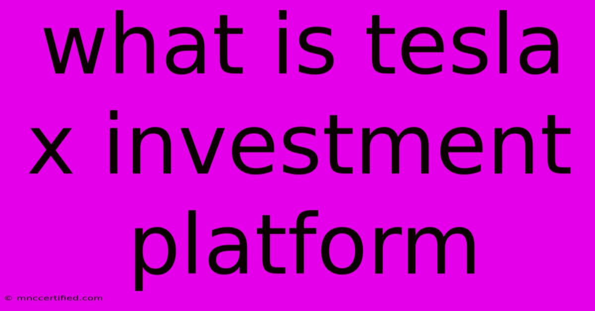 What Is Tesla X Investment Platform