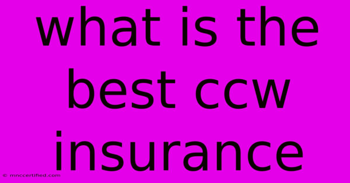 What Is The Best Ccw Insurance