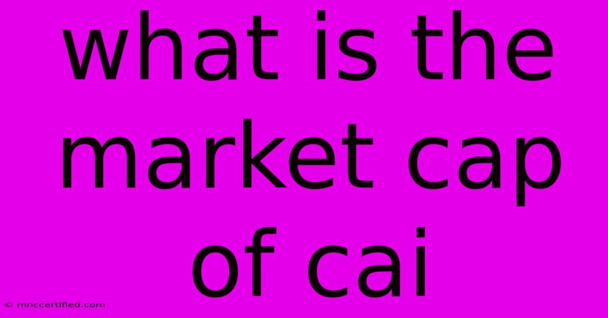 What Is The Market Cap Of Cai