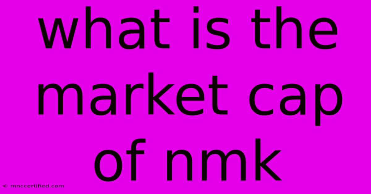 What Is The Market Cap Of Nmk