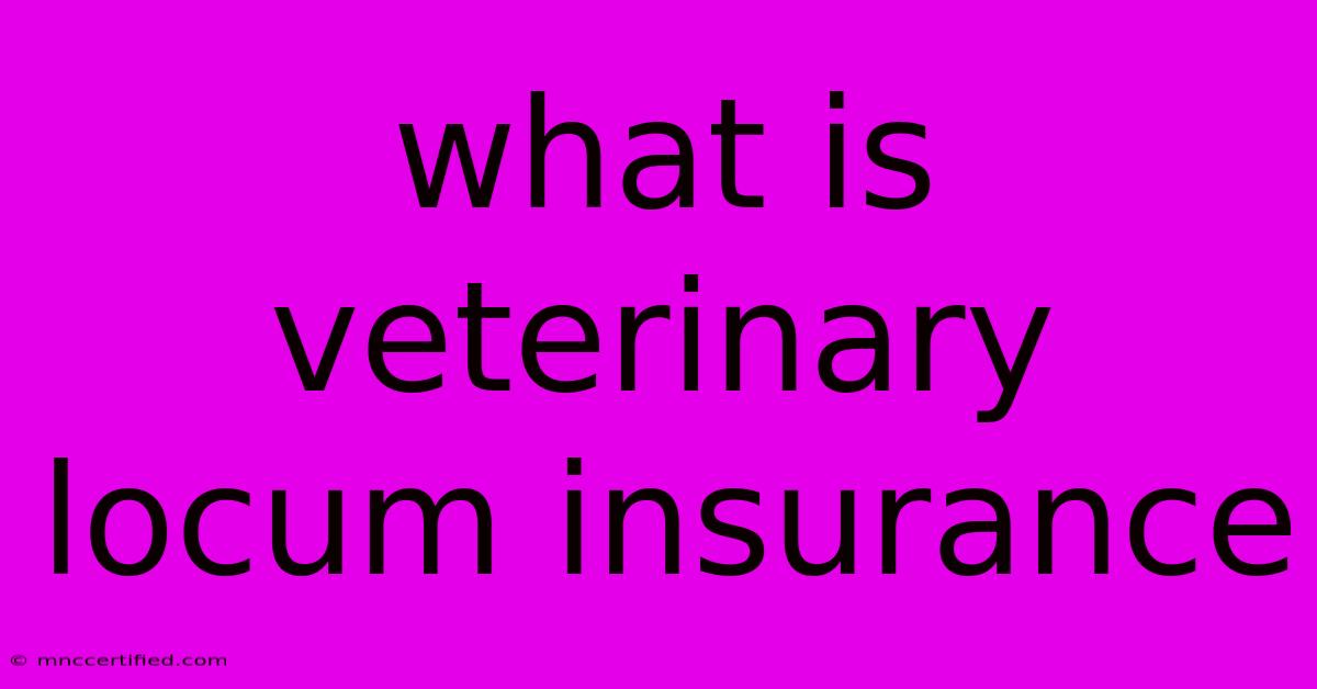 What Is Veterinary Locum Insurance