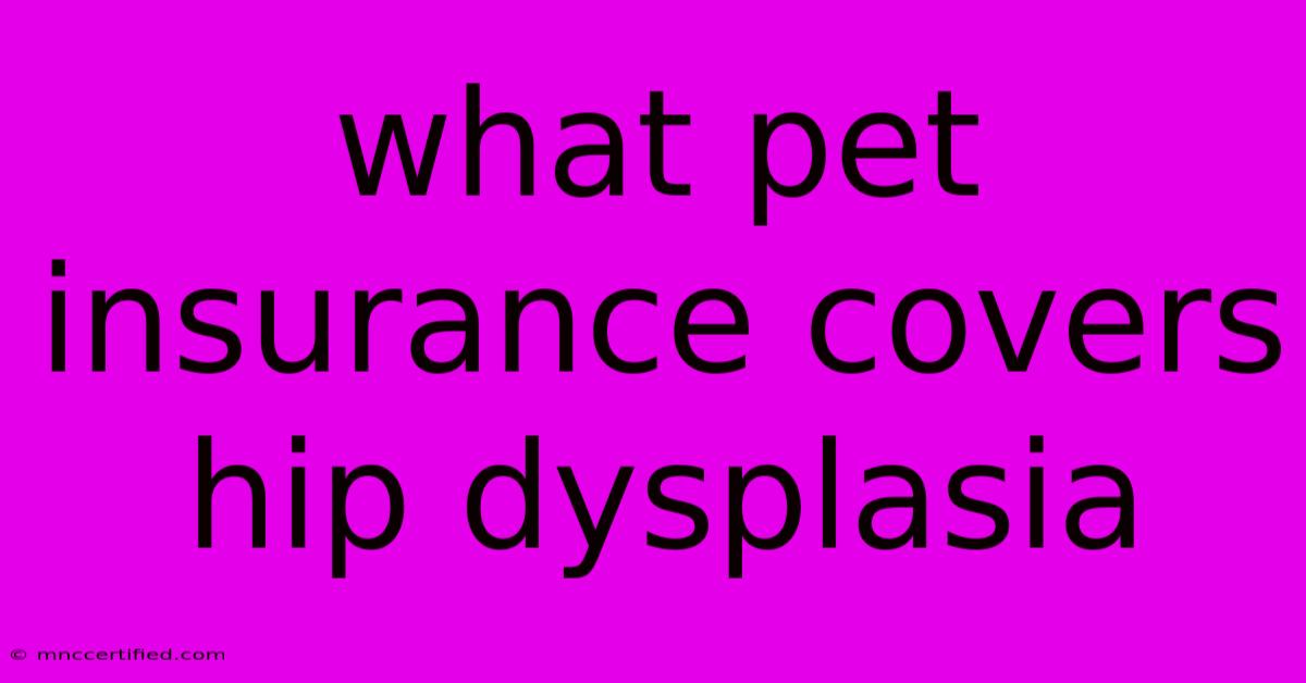 What Pet Insurance Covers Hip Dysplasia