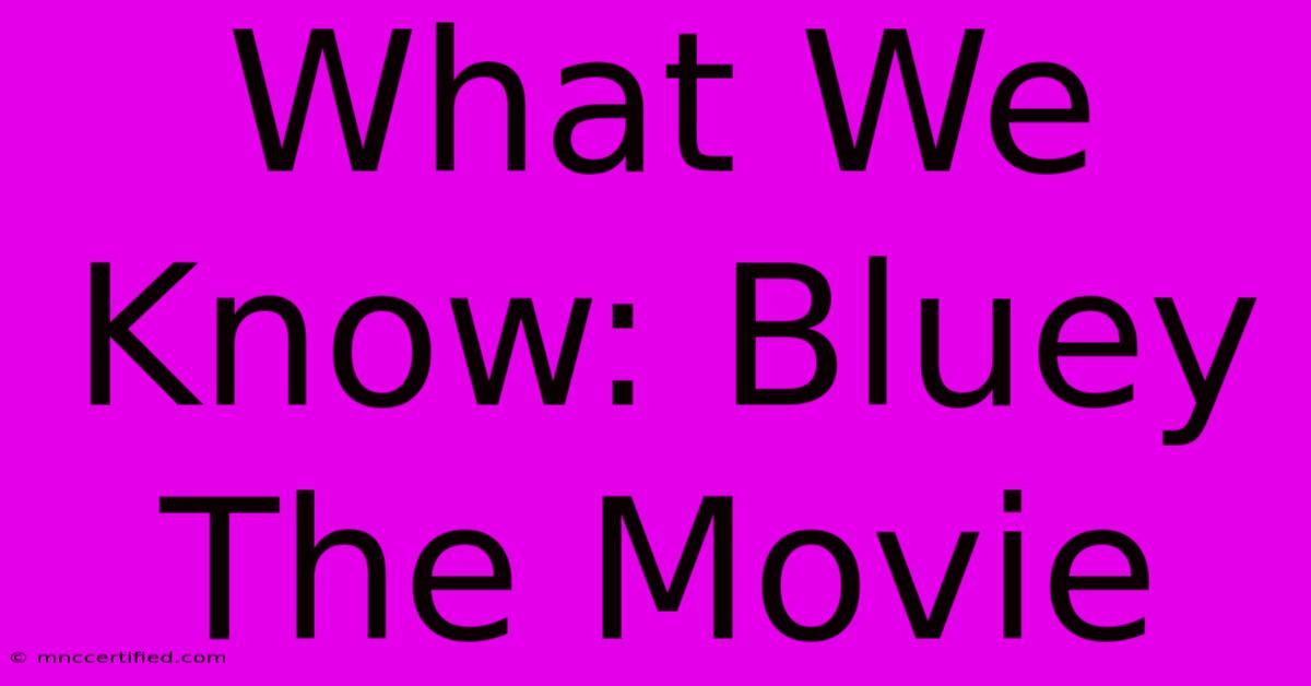 What We Know: Bluey The Movie