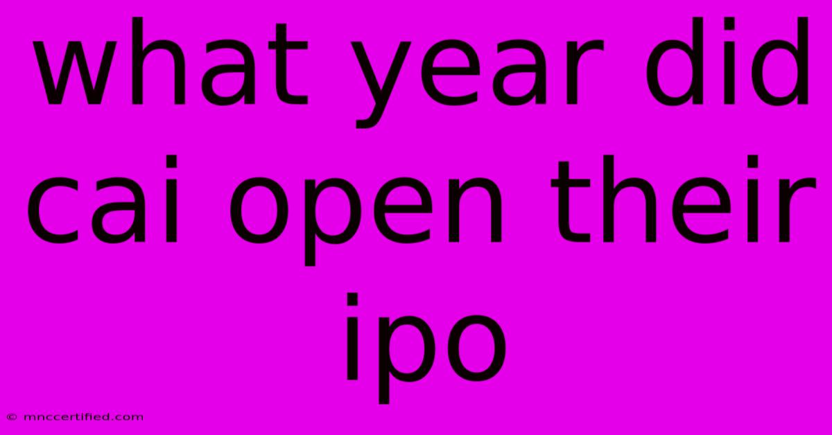 What Year Did Cai Open Their Ipo