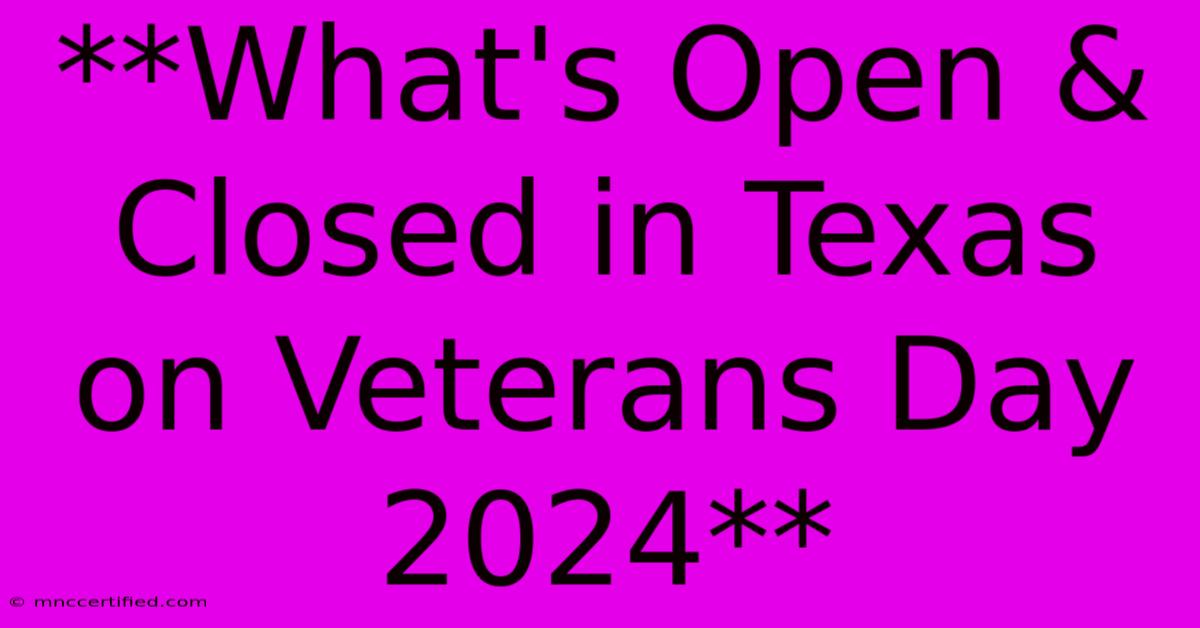 **What's Open & Closed In Texas On Veterans Day 2024**