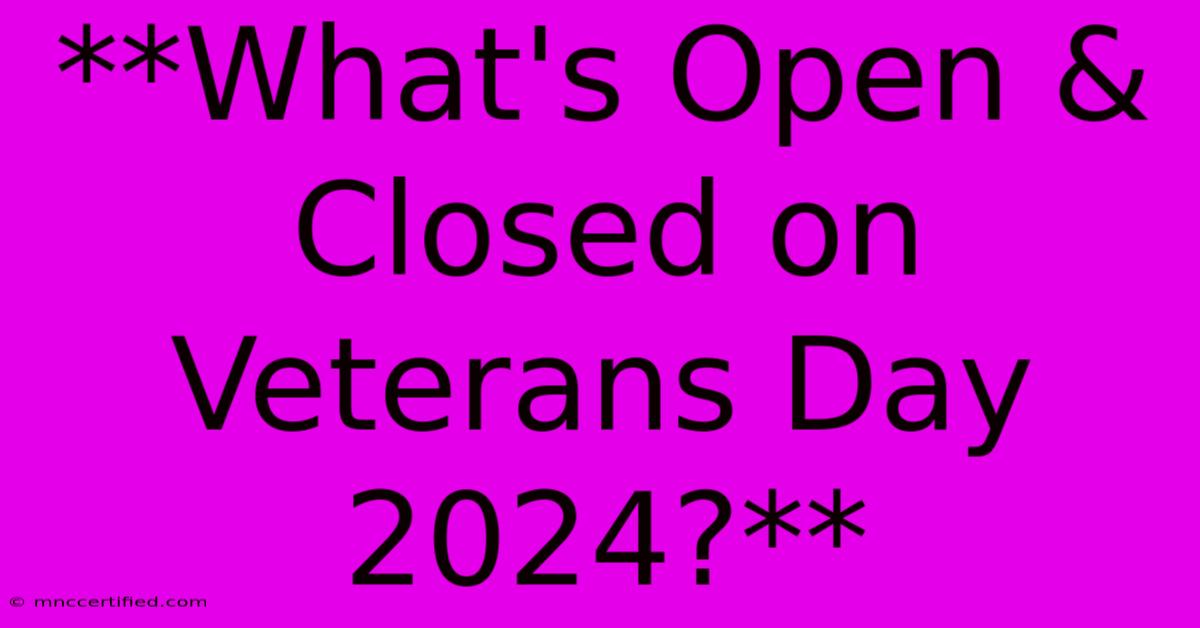 **What's Open & Closed On Veterans Day 2024?**