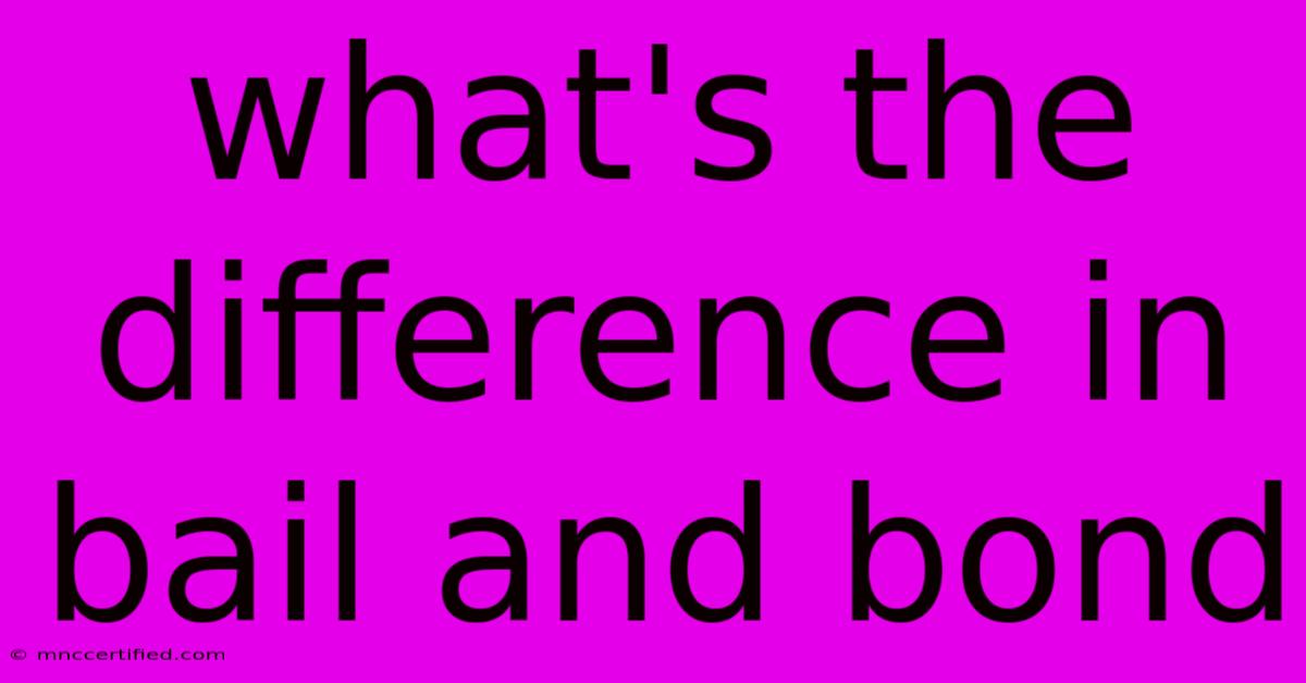 What's The Difference In Bail And Bond