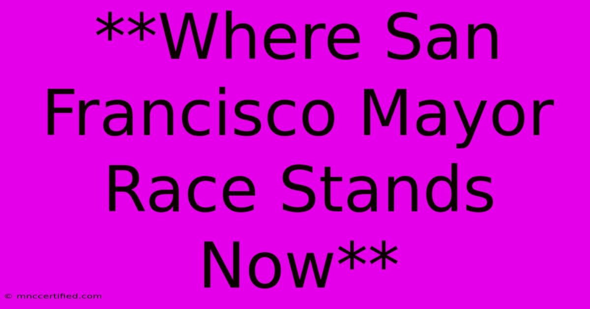 **Where San Francisco Mayor Race Stands Now**