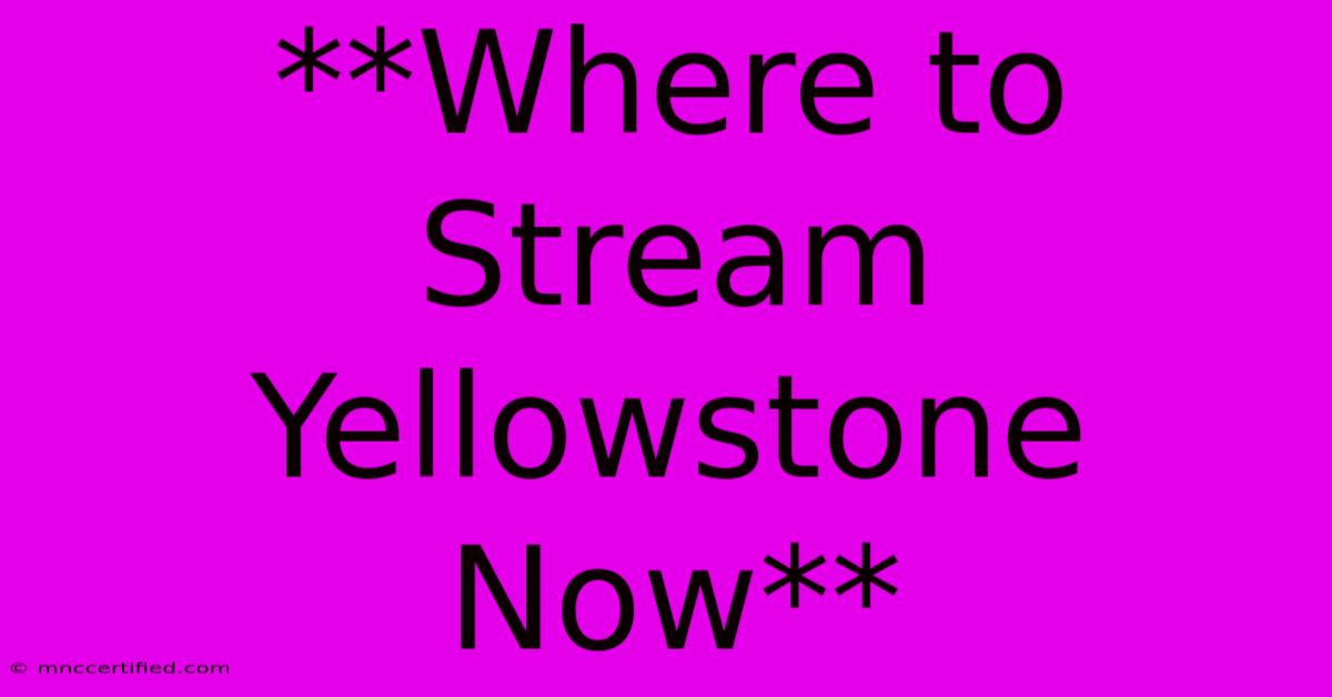 **Where To Stream Yellowstone Now**