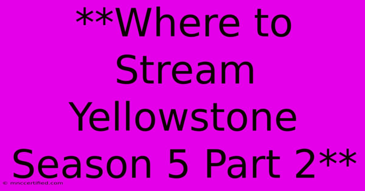 **Where To Stream Yellowstone Season 5 Part 2**