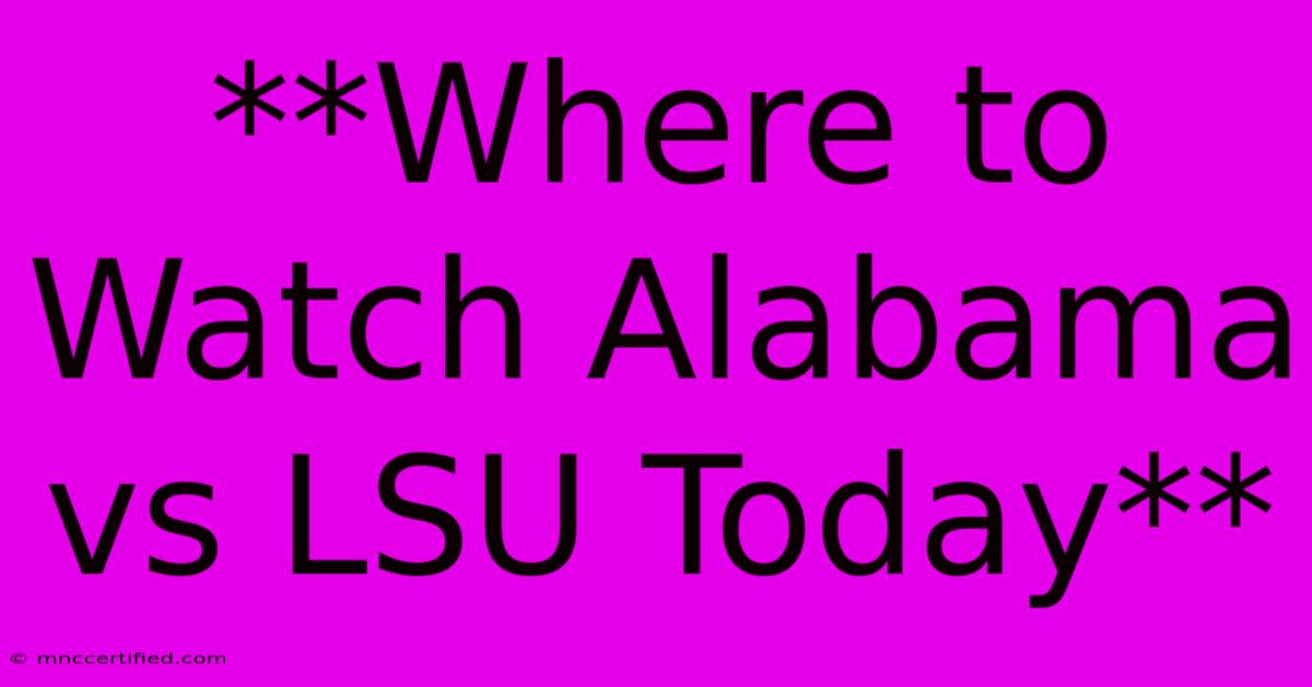 **Where To Watch Alabama Vs LSU Today** 