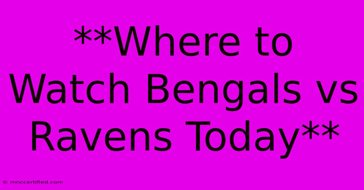 **Where To Watch Bengals Vs Ravens Today**