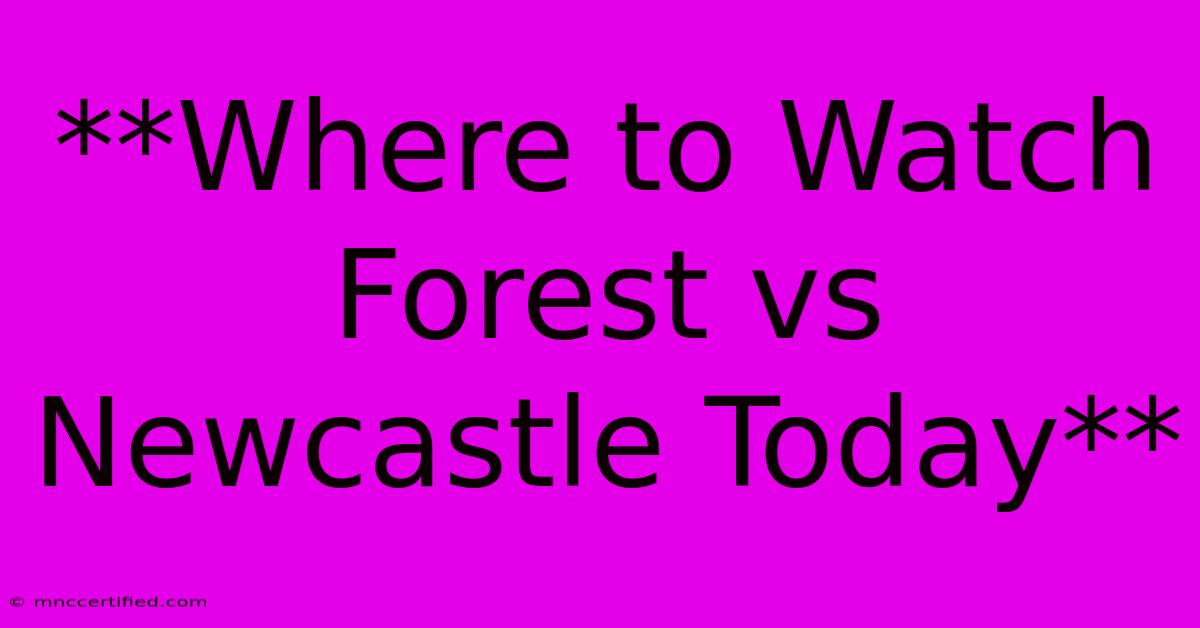 **Where To Watch Forest Vs Newcastle Today**