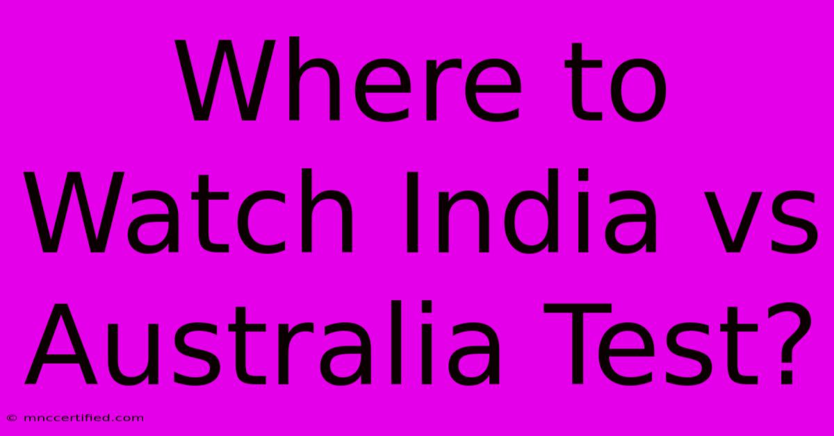 Where To Watch India Vs Australia Test?