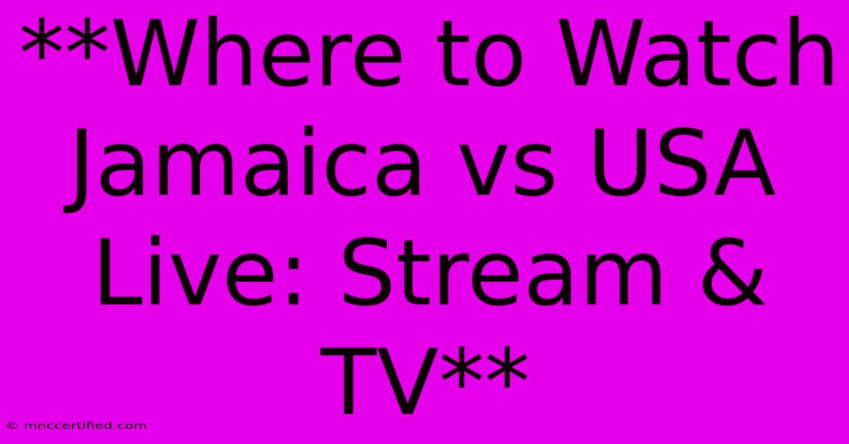 **Where To Watch Jamaica Vs USA Live: Stream & TV**