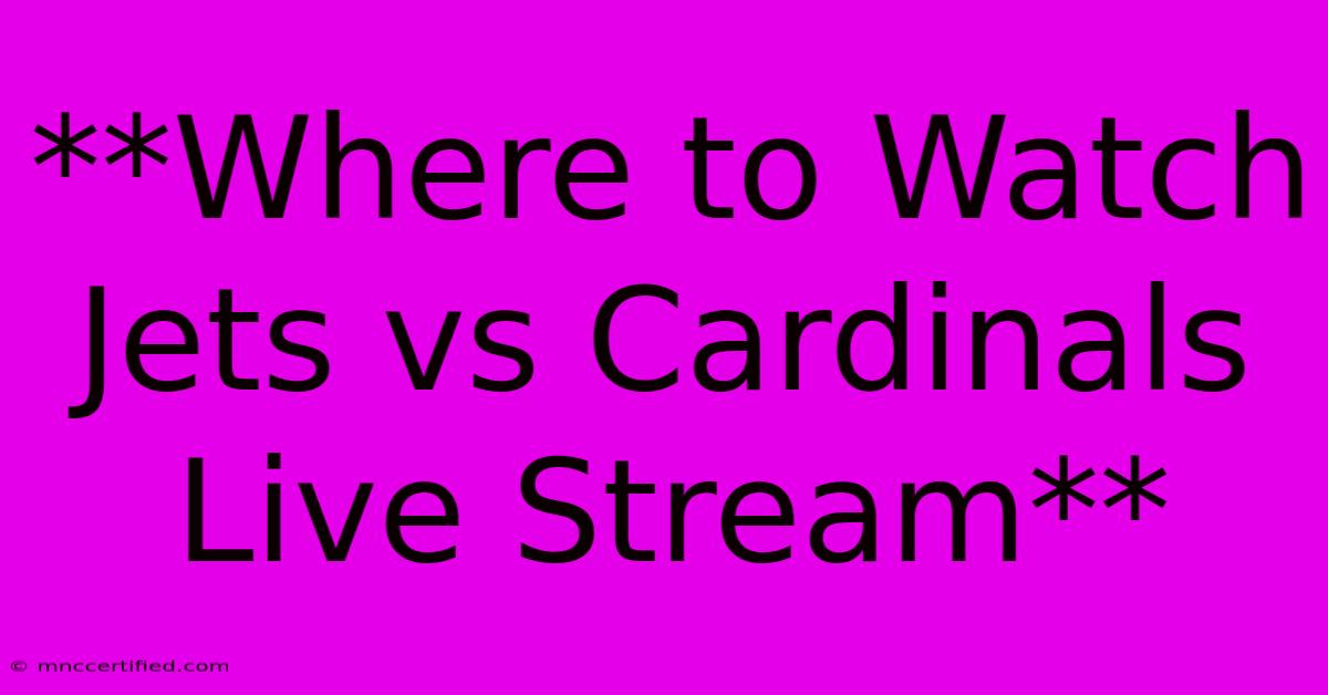 **Where To Watch Jets Vs Cardinals Live Stream**