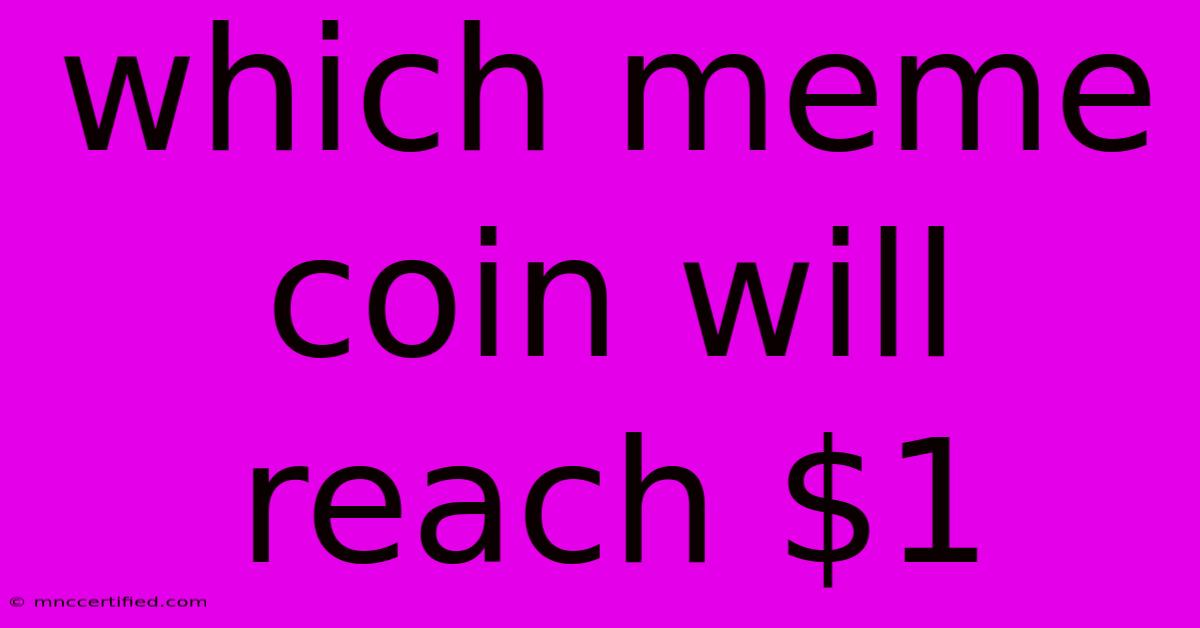 Which Meme Coin Will Reach $1