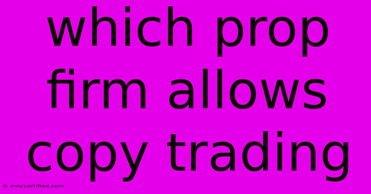 Which Prop Firm Allows Copy Trading