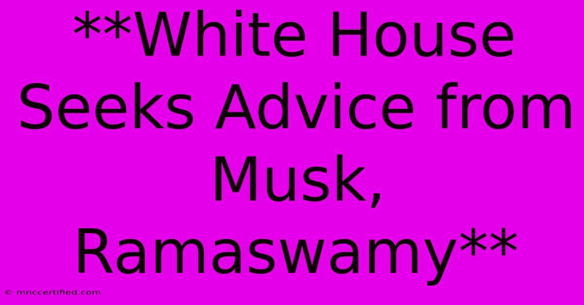 **White House Seeks Advice From Musk, Ramaswamy**