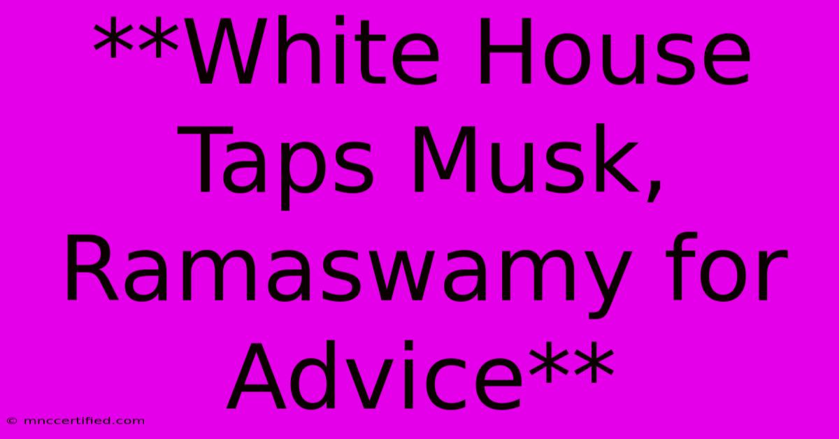 **White House Taps Musk, Ramaswamy For Advice**