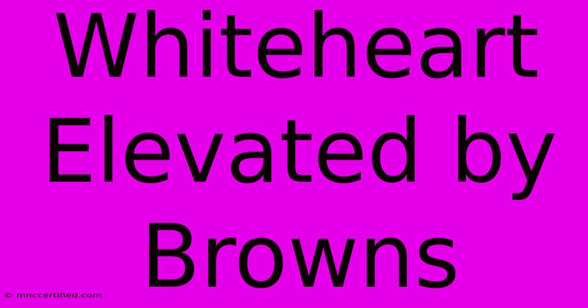 Whiteheart Elevated By Browns