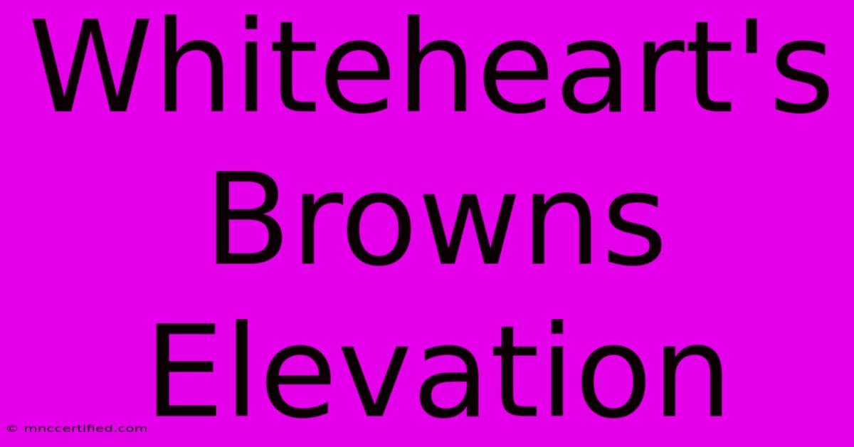 Whiteheart's Browns Elevation