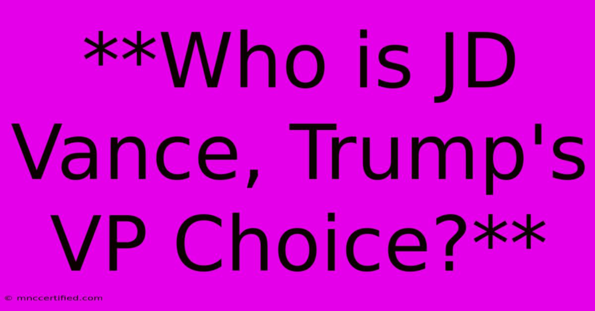 **Who Is JD Vance, Trump's VP Choice?**