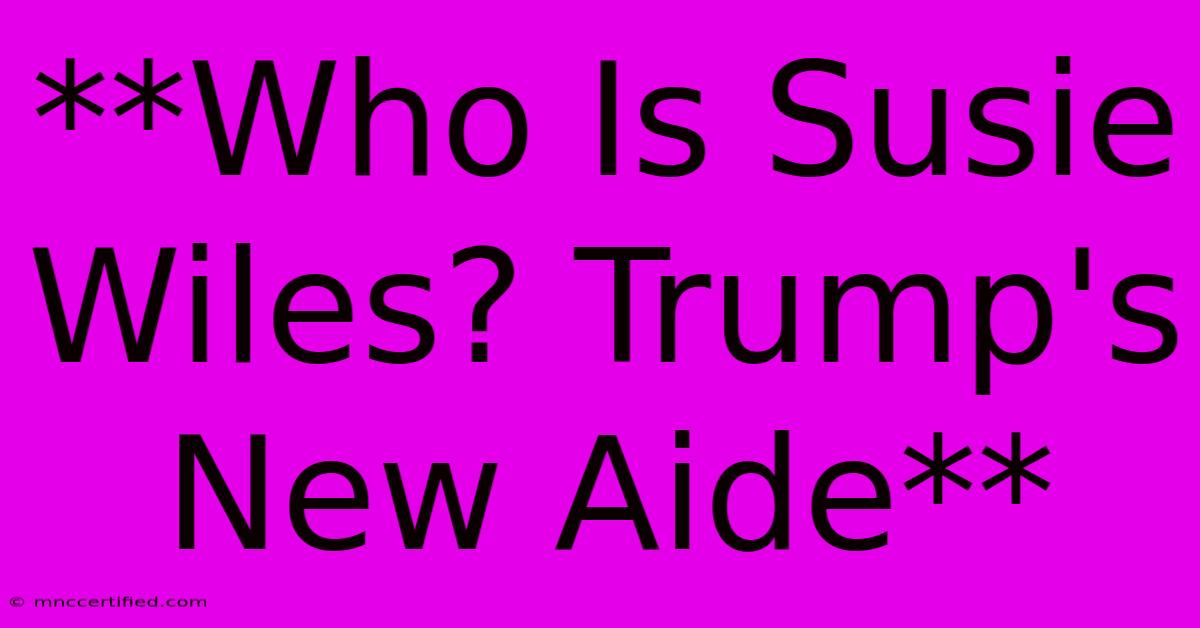 **Who Is Susie Wiles? Trump's New Aide**