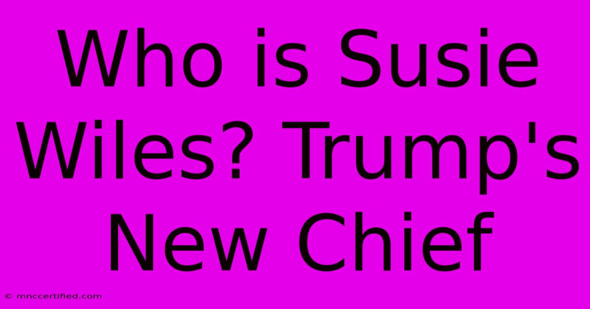 Who Is Susie Wiles? Trump's New Chief