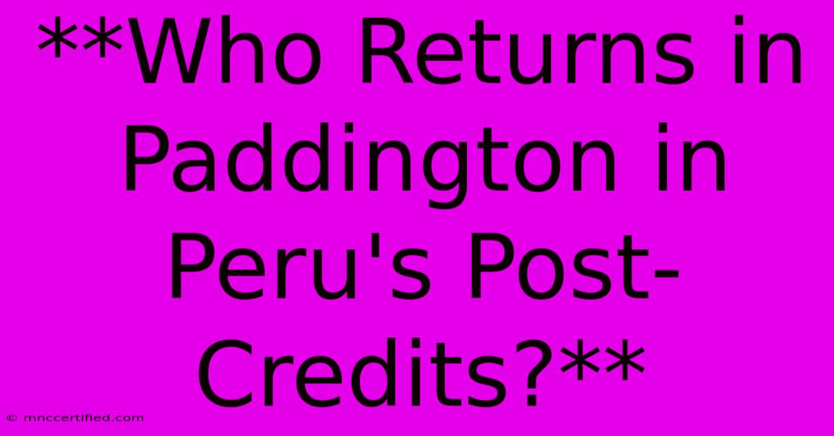 **Who Returns In Paddington In Peru's Post-Credits?**