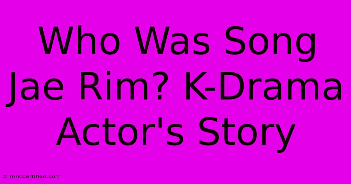 Who Was Song Jae Rim? K-Drama Actor's Story