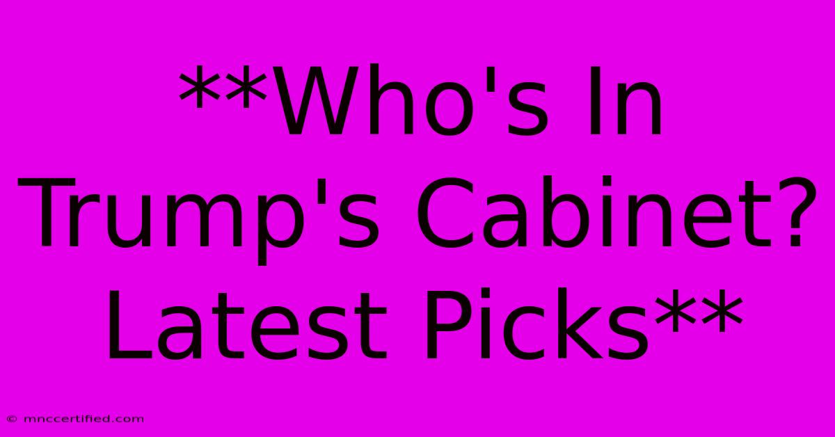 **Who's In Trump's Cabinet? Latest Picks**