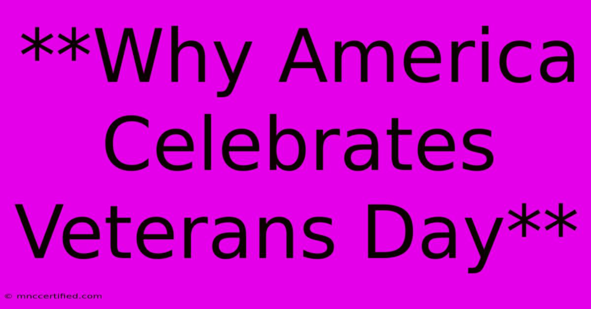 **Why America Celebrates Veterans Day**