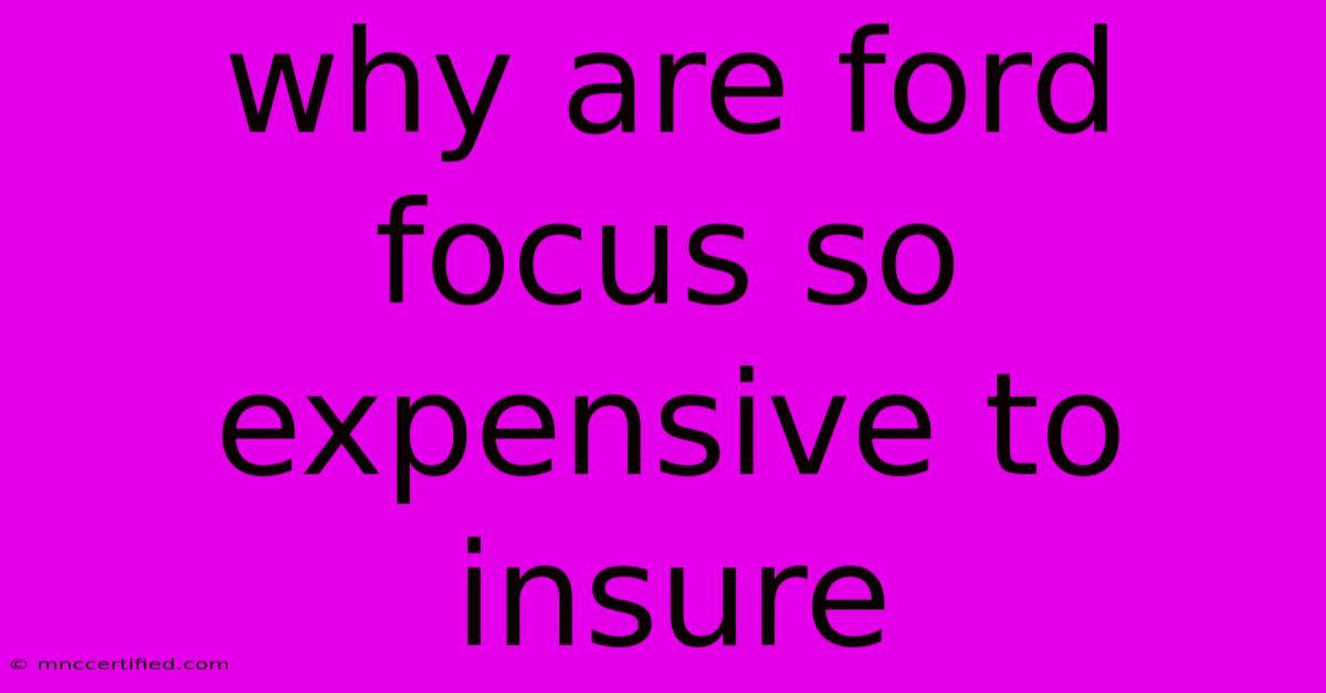 Why Are Ford Focus So Expensive To Insure