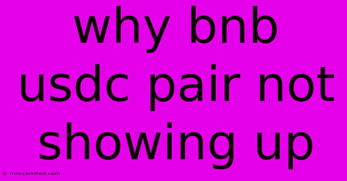 Why Bnb Usdc Pair Not Showing Up