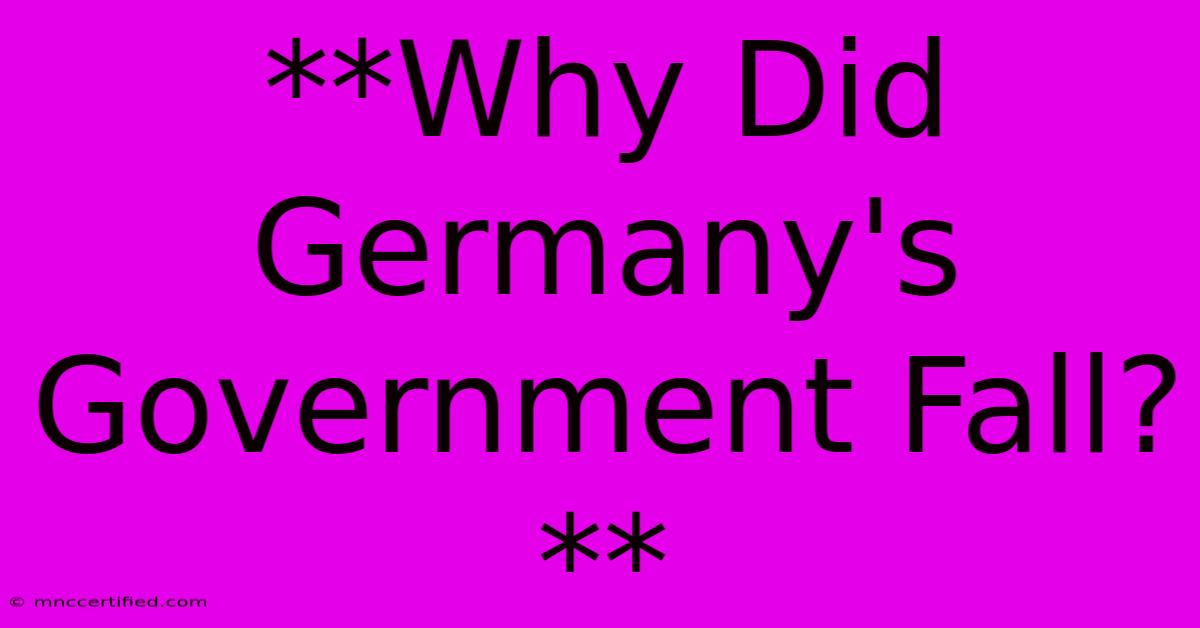 **Why Did Germany's Government Fall?**