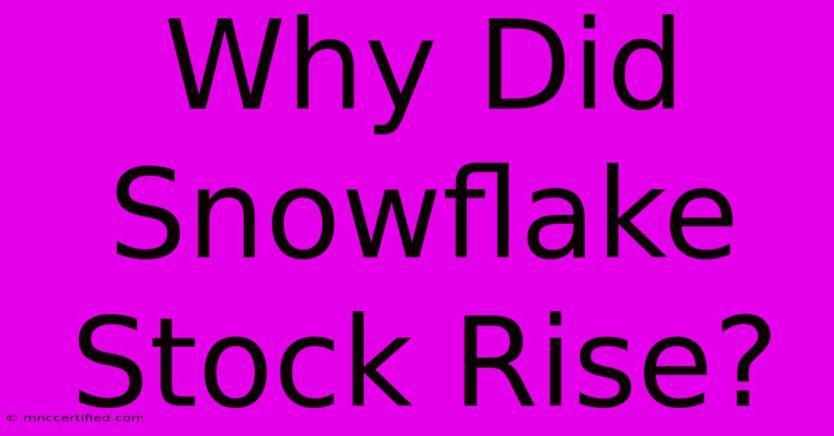 Why Did Snowflake Stock Rise?