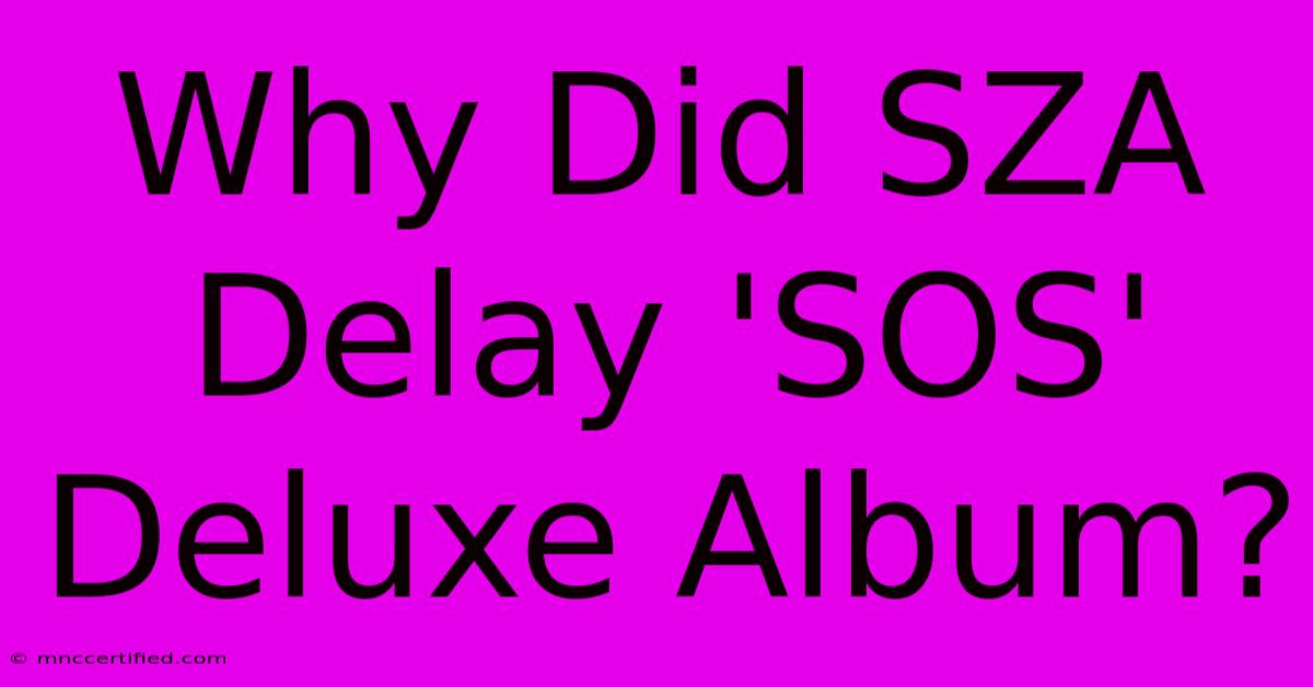 Why Did SZA Delay 'SOS' Deluxe Album?